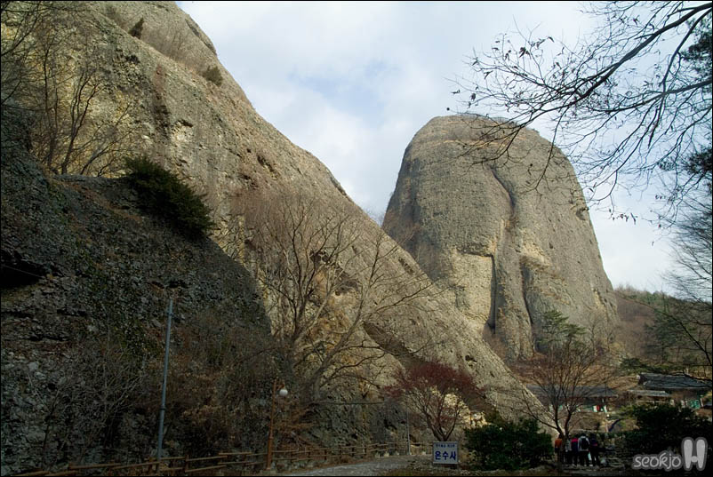 DSCF6582.jpg