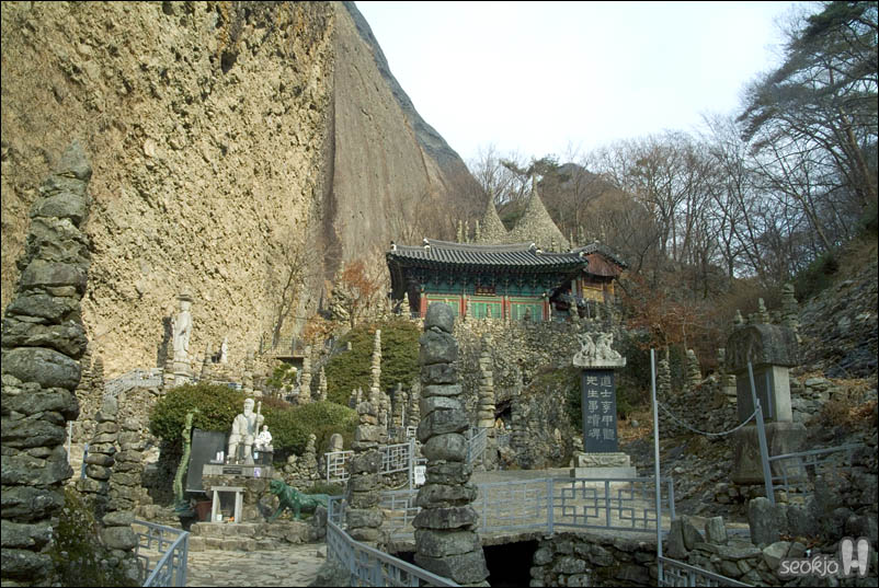 DSCF6585.jpg