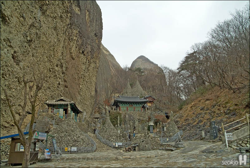 DSCF6591.jpg