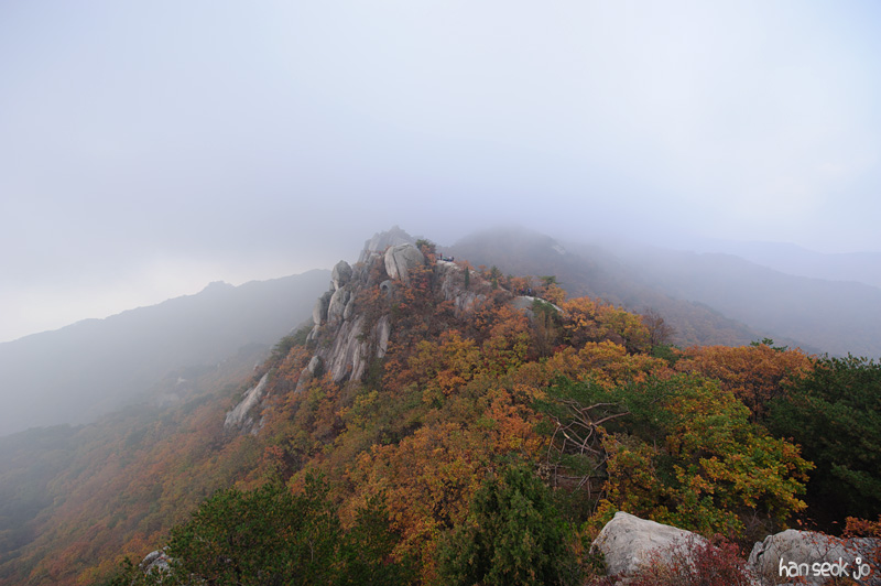 HSJ_5340.jpg