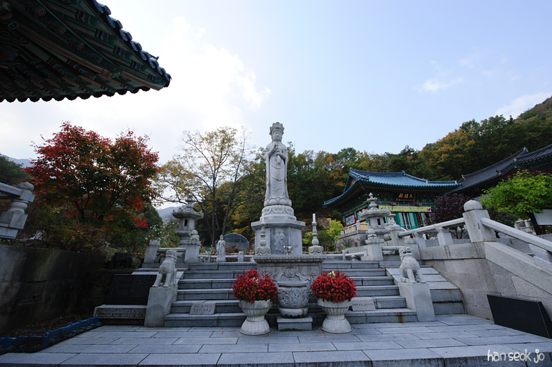 HSJ_5354.jpg
