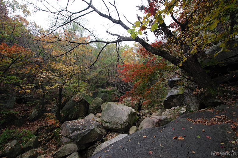 HSJ_5308.jpg