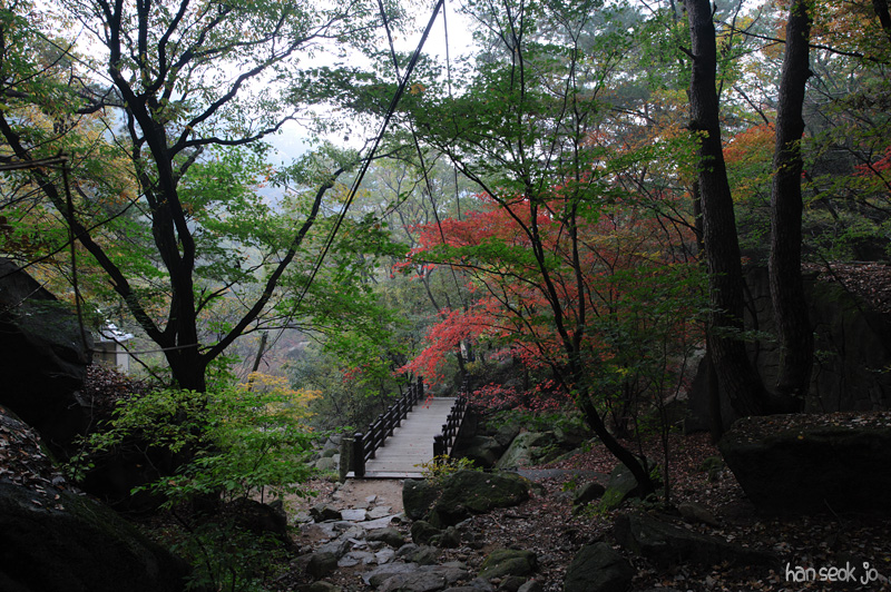 HSJ_5314.jpg