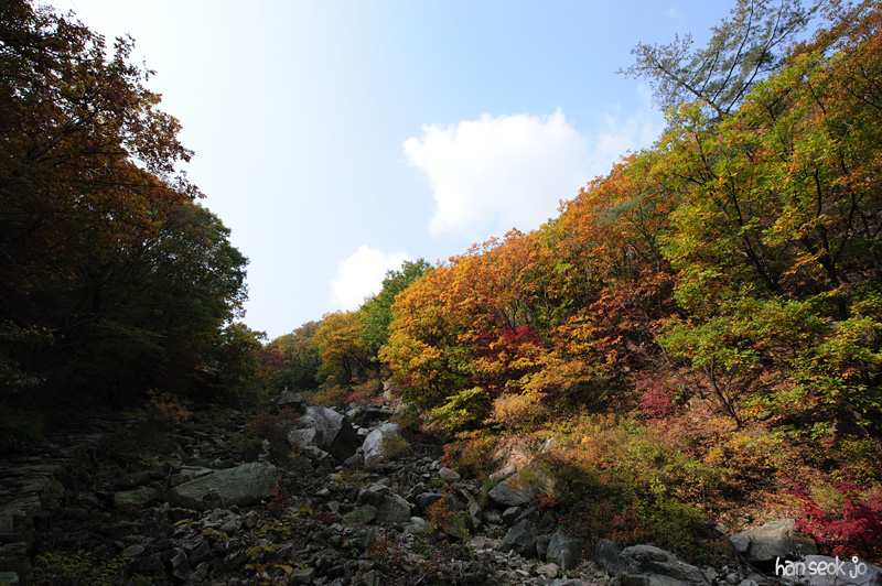 HSJ_5351.jpg