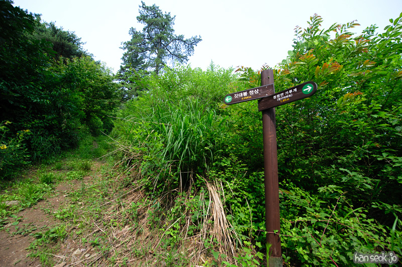 HSJ_0565.jpg