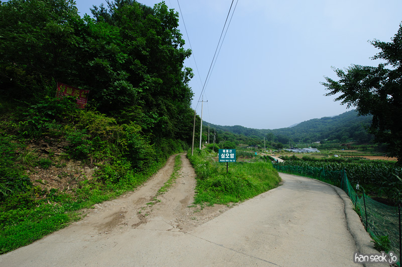 HSJ_0561.jpg