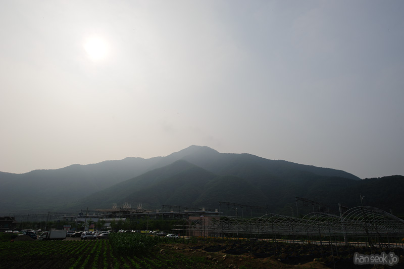 HSJ_0560.jpg