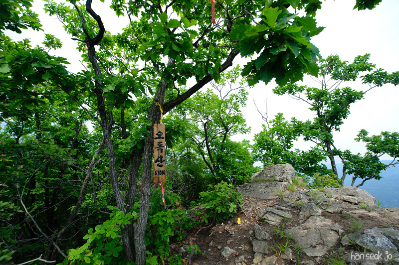 HSJ_0583.jpg