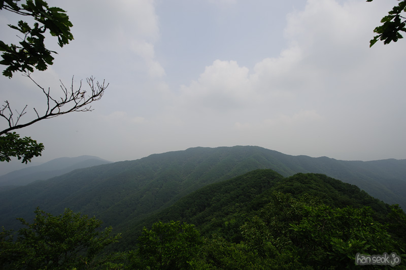 HSJ_0584.jpg