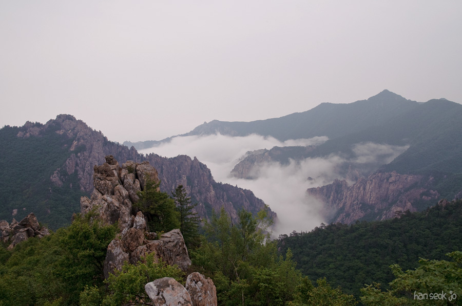 DSC_2271.jpg