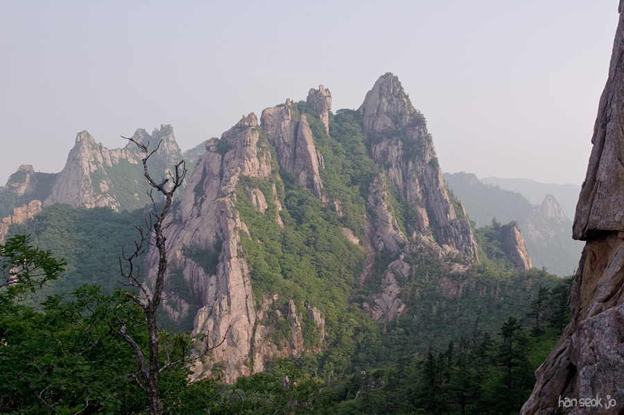 DSC_2347.jpg
