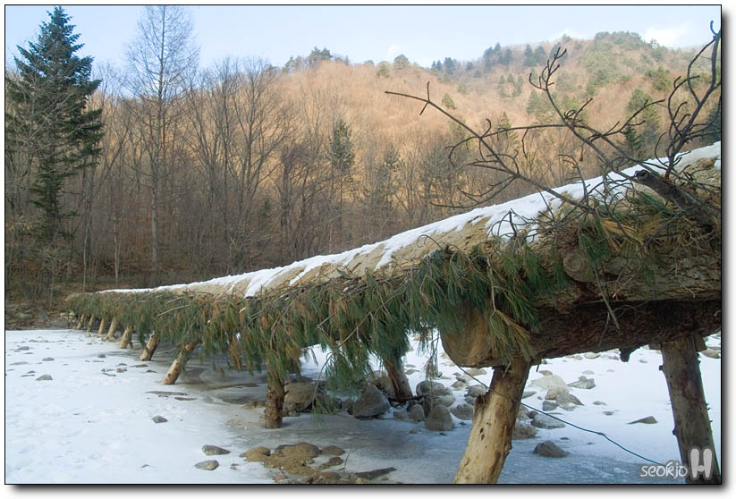 DSCF6670.jpg