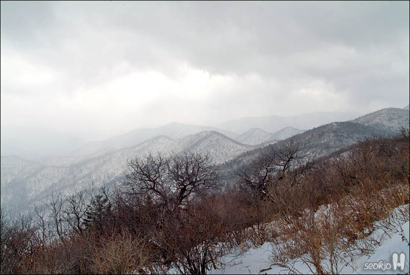 DSCF6614.jpg