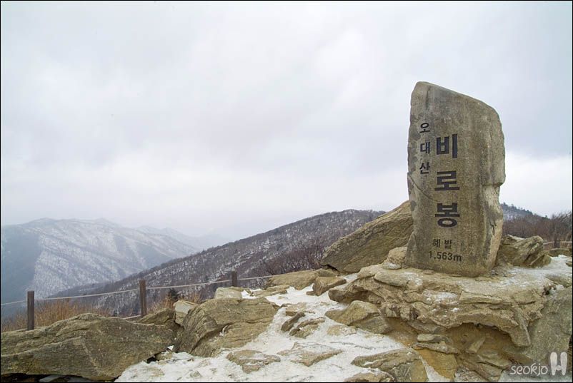 DSCF6639.jpg