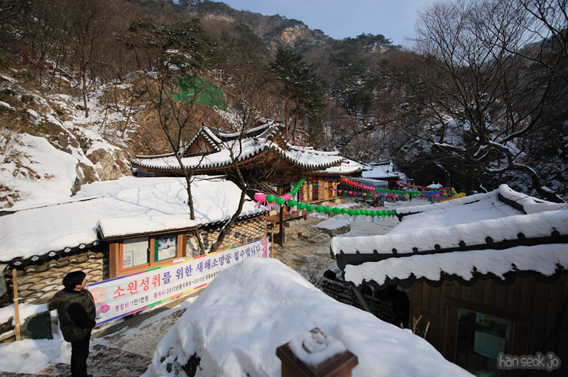 HSJ_6980.jpg
