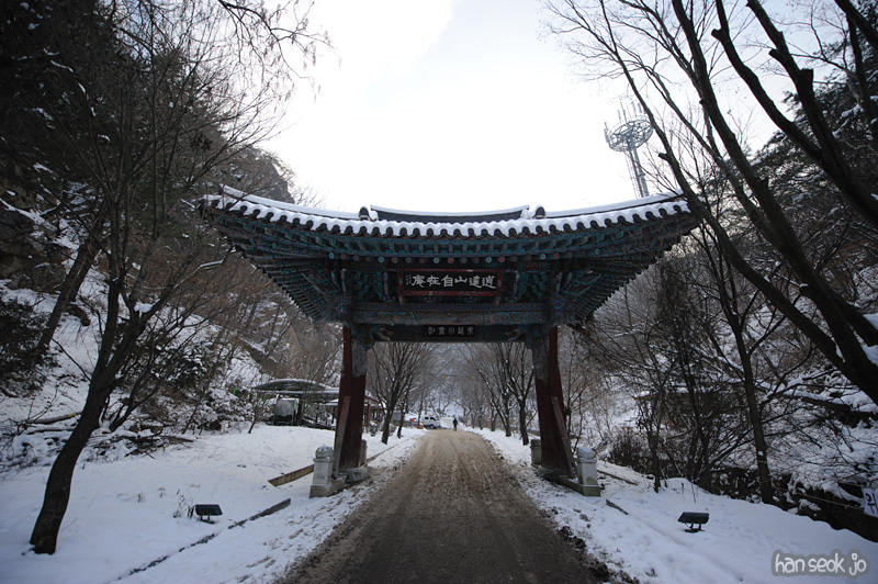 HSJ_6951.jpg