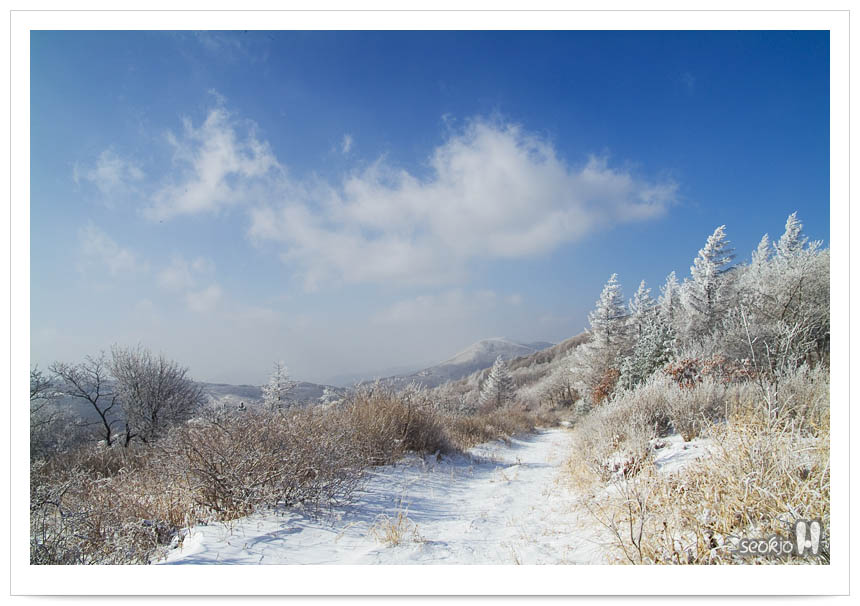 DSCF6691.jpg