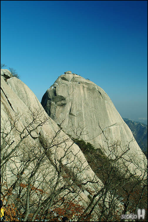 DSCF4135.jpg