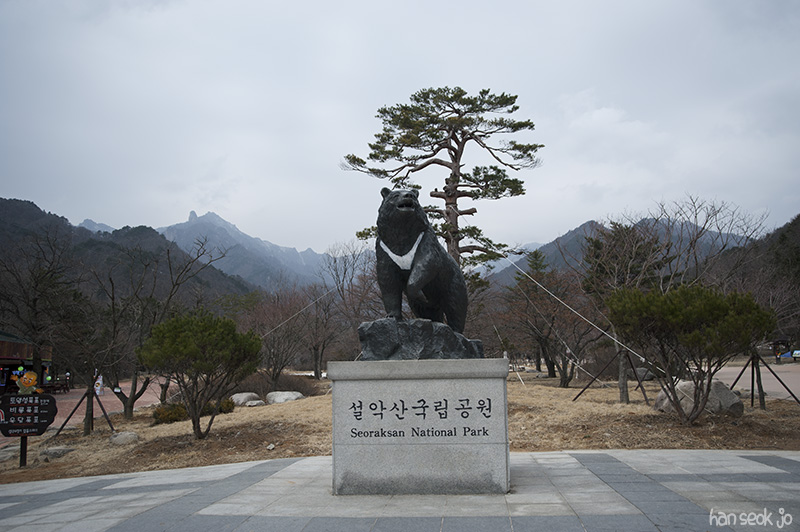 HSJ_4158.jpg