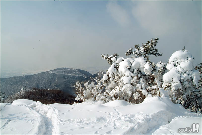 DSCF6755.jpg
