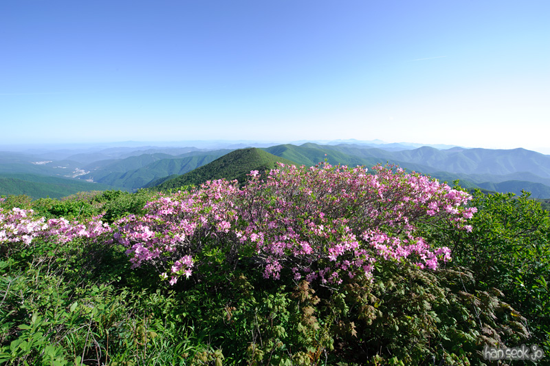 HSJ_9040.jpg