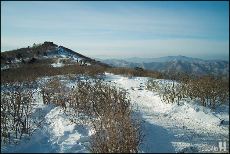 DSCF1385.jpg