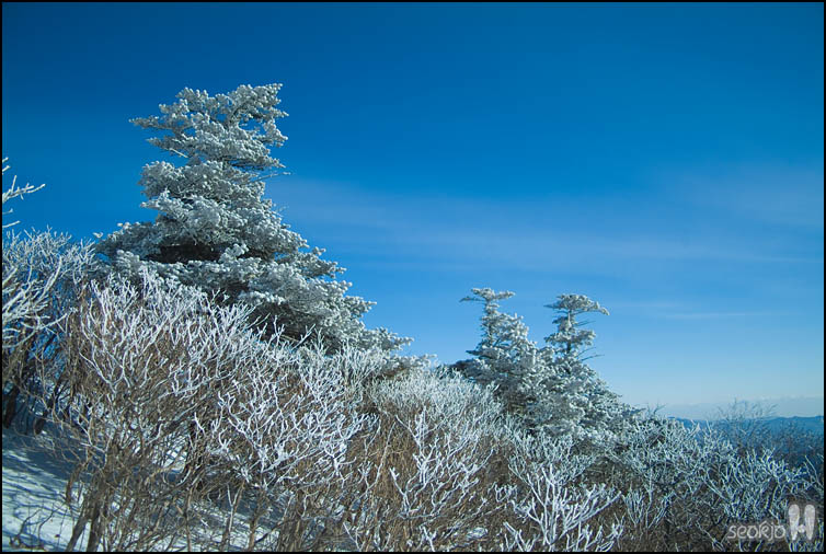 DSCF1395.jpg