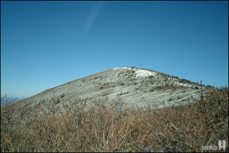 DSCF1402.jpg