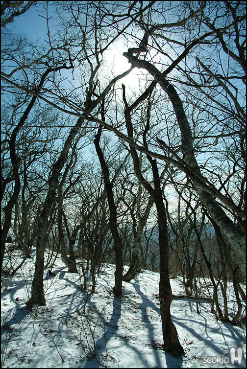 DSCF1405.jpg