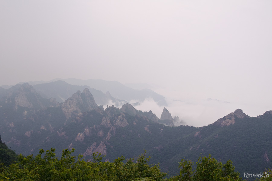 DSC_2259.jpg