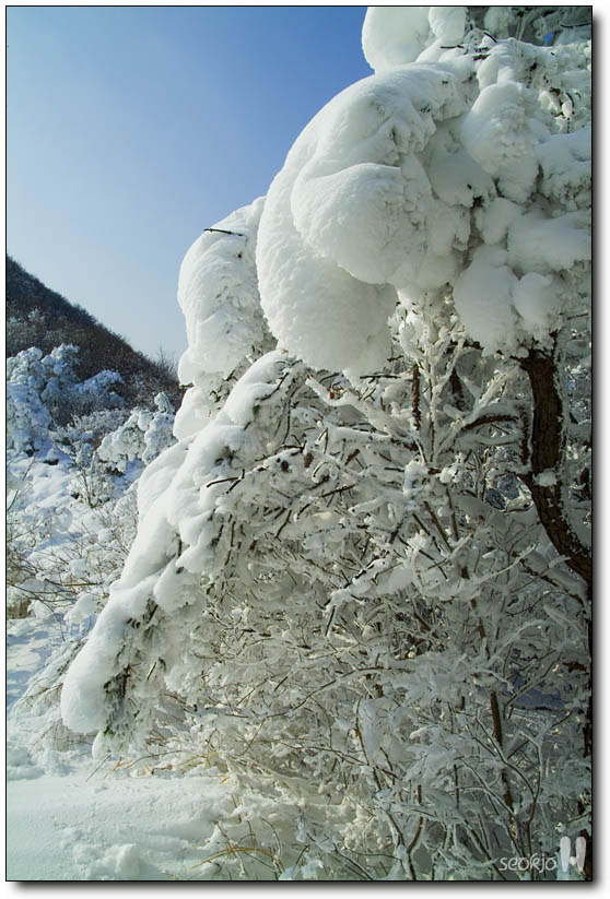 DSCF6748.jpg