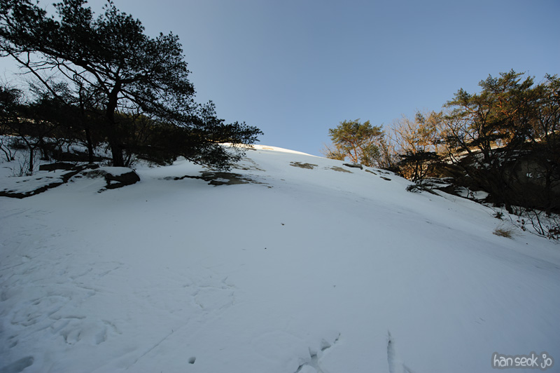 HSJ_7031.jpg