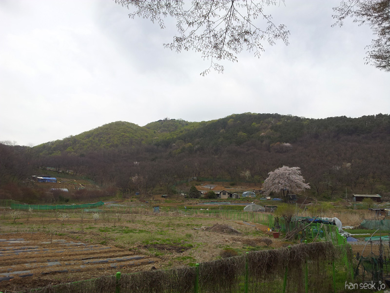 20130428_123123.jpg