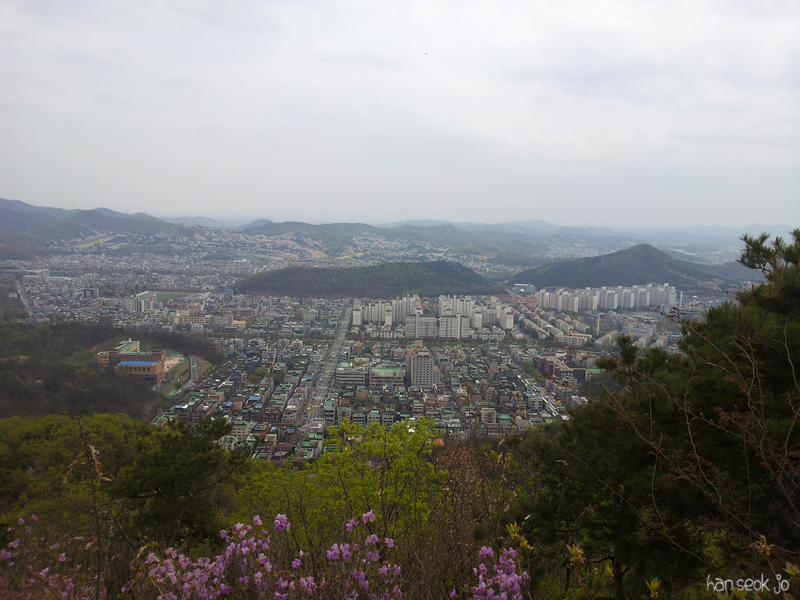 20130428_130820.jpg