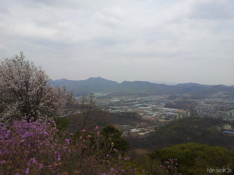20130428_130801.jpg
