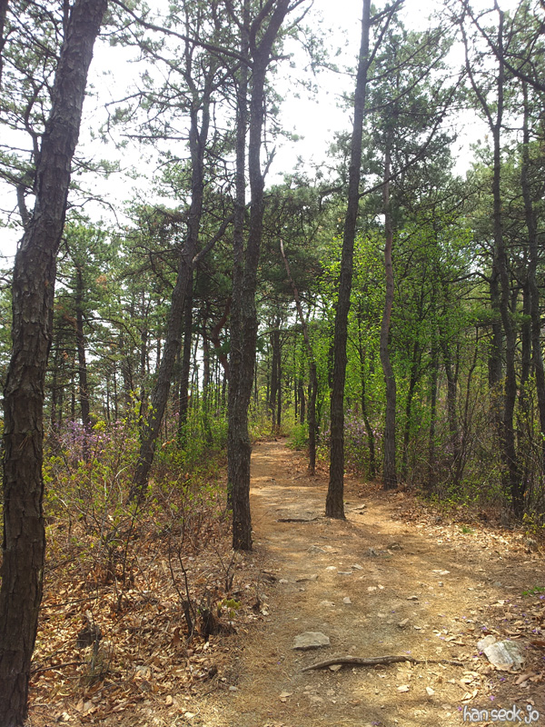 20130428_124733.jpg