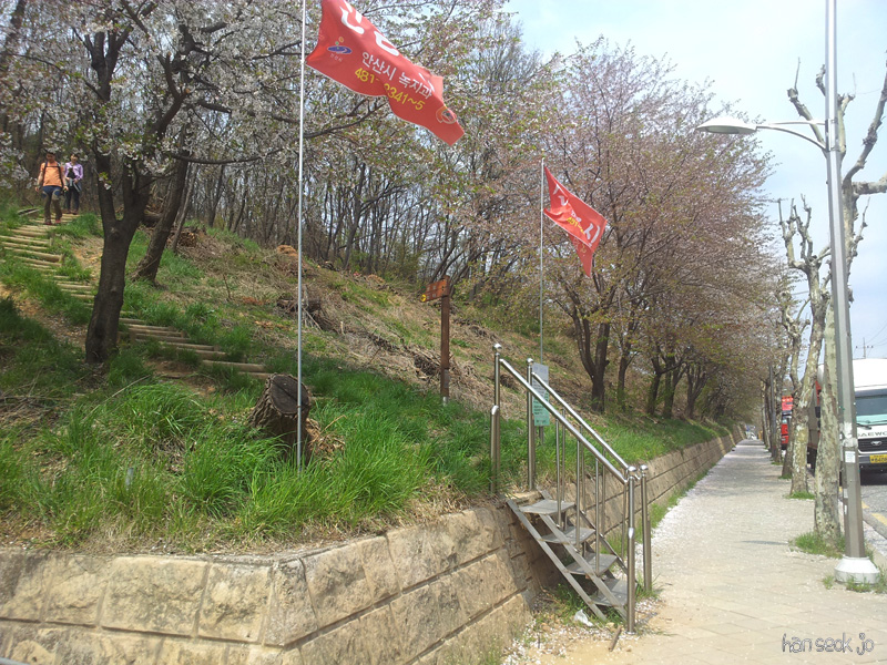 20130428_133658.jpg