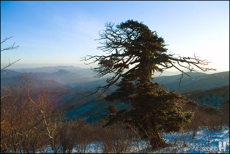 DSCF1372.jpg