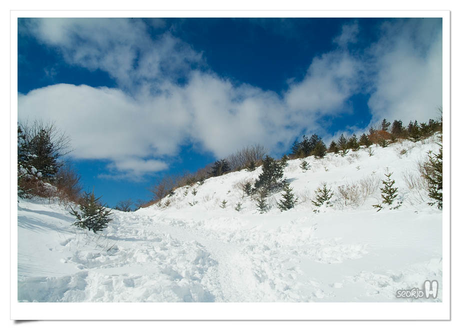 DSCF6788.jpg