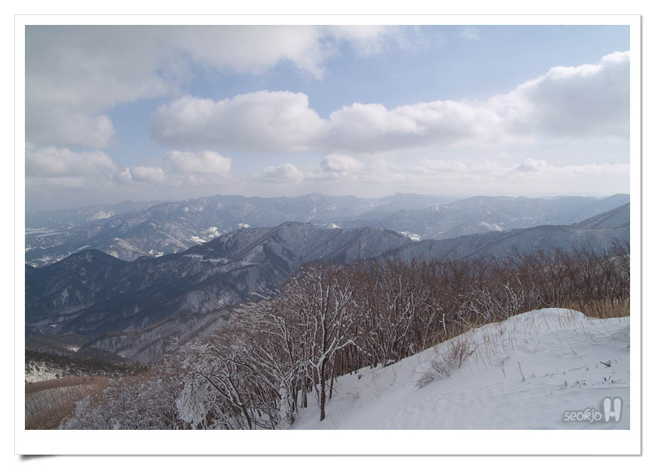 DSCF6811.jpg