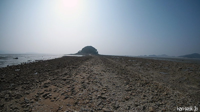 SAM_0395.jpg