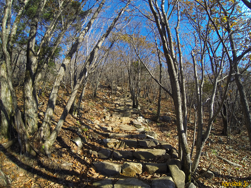 GOPR0423.jpg