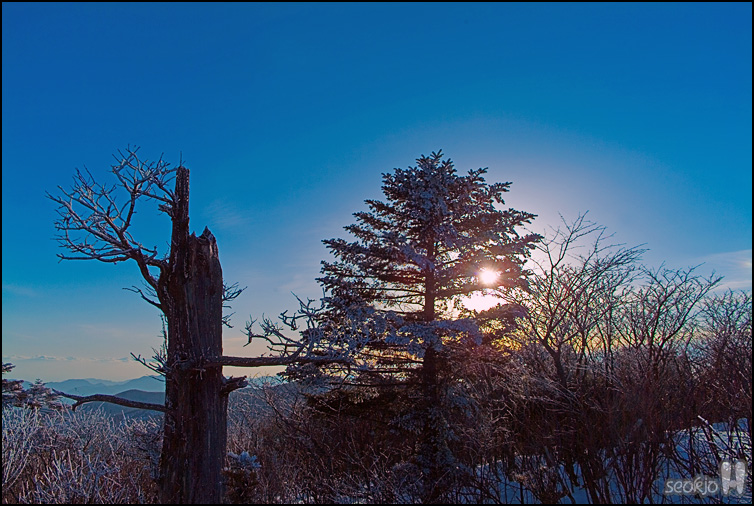DSCF1377.jpg
