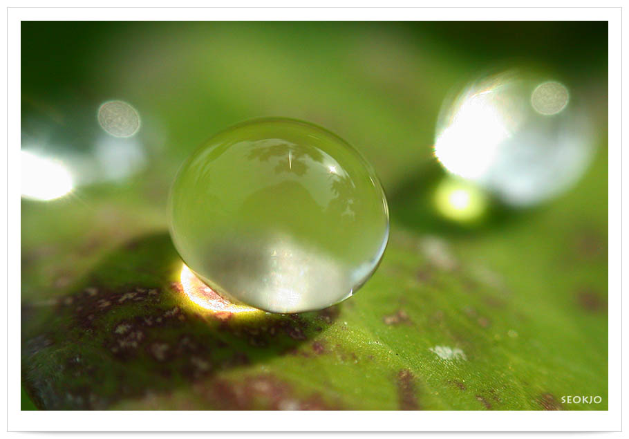 DSCN9651.jpg