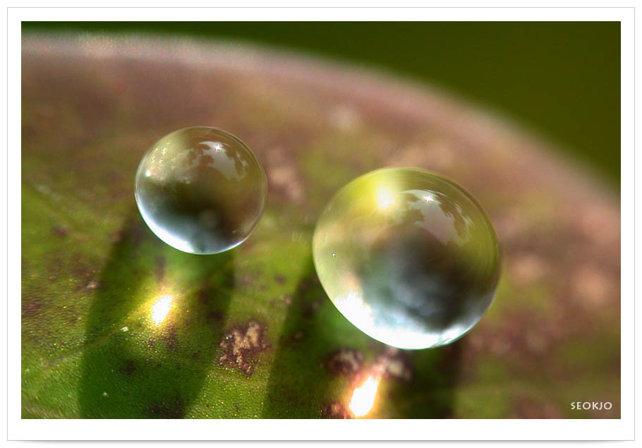 DSCN9655.jpg
