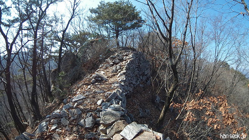 SAM_100_0411.jpg