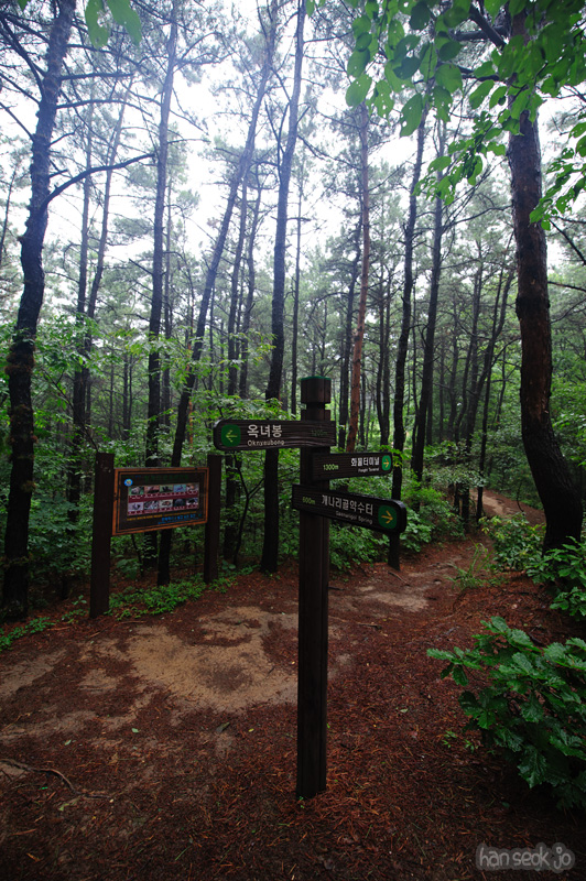 HSJ_0628.jpg