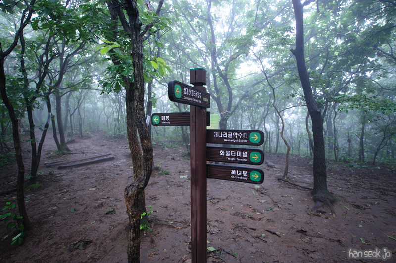 HSJ_0623.jpg