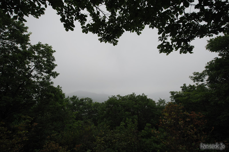 HSJ_0620.jpg