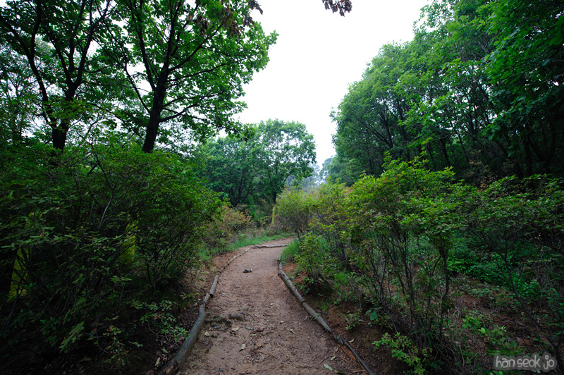 HSJ_0619.jpg